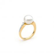 R11